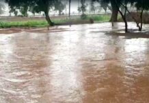 हरियाणा में मौसम में बदलाव के बाद सोमवार सुबह 8 बजे से फतेहाबाद क्षेत्र में बारिश जारी है। बारिश के कारण तापमान में गिरावट दर्ज की गई है।