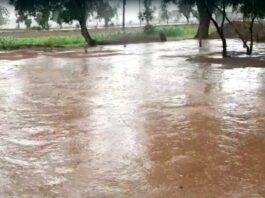 हरियाणा में मौसम में बदलाव के बाद सोमवार सुबह 8 बजे से फतेहाबाद क्षेत्र में बारिश जारी है। बारिश के कारण तापमान में गिरावट दर्ज की गई है।