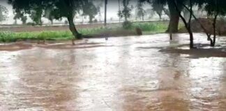 हरियाणा में मौसम में बदलाव के बाद सोमवार सुबह 8 बजे से फतेहाबाद क्षेत्र में बारिश जारी है। बारिश के कारण तापमान में गिरावट दर्ज की गई है।
