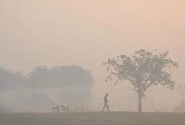 दिल्ली-एनसीआर क्षेत्र में प्रदूषण बढ़ा हुआ है। यदि प्रदूषण इसी तरह बढ़ता गया तो जल्द ही ग्रैप-2 का सीजन आ जाएगा। प्रदूषण बीते चार दिनों से खराब स्थिति में है। ऐसे में अब आमजन को भी इसे कम रखने के लिए अपनी जिम्मेदारी निभानी होगी।