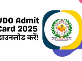 RSSB VDO Admit Card: दो नवंबर को होगी परीक्षा; राजस्थान वीडीओ का प्रवेश पत्र जारी,यहां से करें डाउनलोड राजस्थान कर्मचारी चयन बोर्ड ने वीडीओ के लिए प्रवेश पत्र जारी कर दिए हैं।