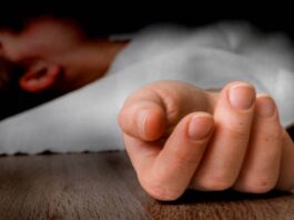 तभी सांपला की तरफ से आई एक तेज रफ्तार थार गाड़ी के चालक ने विकास को टक्कर मार दी।