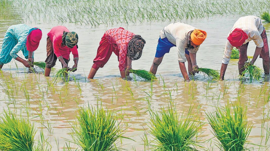 त्तराखंड के किसानों को एक बार बड़ी सौगात मिली है। पीएम किसान सम्मान निधि की 21वीं किस्त के बाद अब 28000 किसानों को पीएम फसल बीमा योजना का मुआवजा भी मिल गया है। त्तराखंड के किसानों को एक बार बड़ी सौगात मिली है। पीएम किसान सम्मान निधि की 21वीं किस्त के बाद अब 28000 किसानों को पीएम फसल बीमा योजना का मुआवजा भी मिल गया है।
