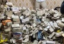 दिल्ली ब्लास्ट के बाद फतेहाबाद के पुलिस काफी सक्रिय हो गई है। जहां सार्वजनिक स्थलों पर पुलिस की तैनाती की गई है, वहीं वाहन चालकों की भी गंभीरता से जांच की जा रही है