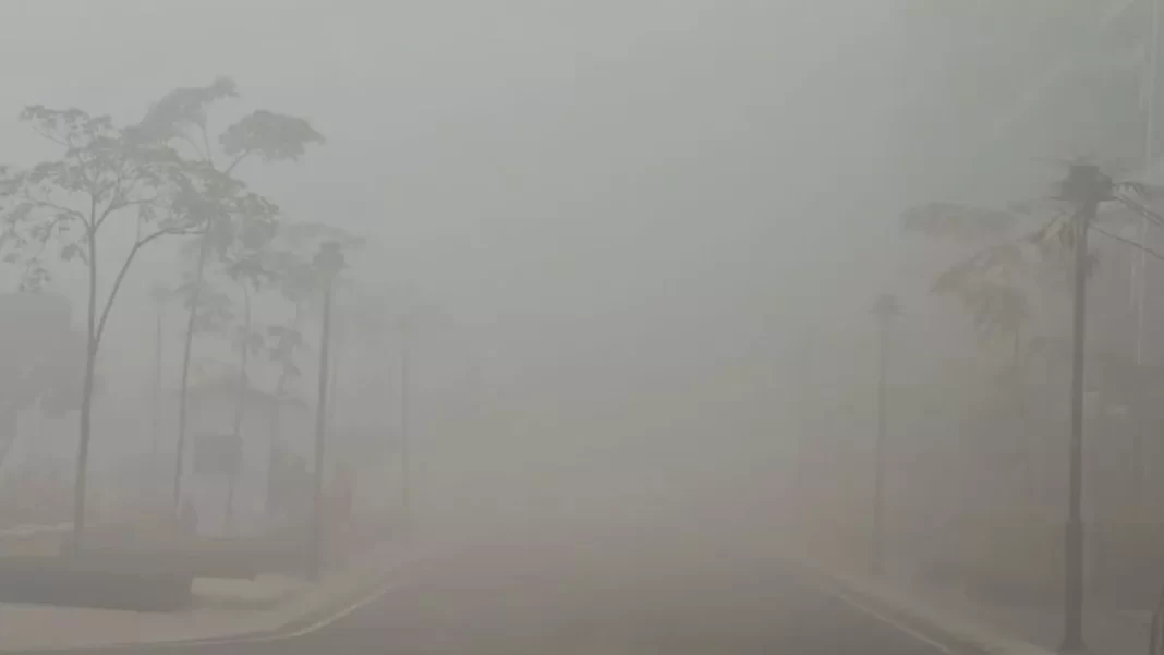 हरियाणा में मंगलवार सुबह घनी धुंध छाई रही जिससे कई जगहों पर दृश्यता बेहद कम रही। वहीं, मौसम विभाग ने नए साल पर बारिश की संभावना जताई है।