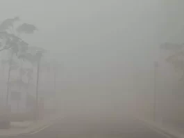 हरियाणा में मंगलवार सुबह घनी धुंध छाई रही जिससे कई जगहों पर दृश्यता बेहद कम रही। वहीं, मौसम विभाग ने नए साल पर बारिश की संभावना जताई है।