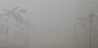 हरियाणा में मंगलवार सुबह घनी धुंध छाई रही जिससे कई जगहों पर दृश्यता बेहद कम रही। वहीं, मौसम विभाग ने नए साल पर बारिश की संभावना जताई है।