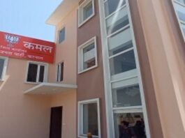 सुप्रीम कोर्ट ने हरियाणा सरकार को फटकार लगाई है. कोर्ट ने आदेश दिया है कि वह तीन महीने के अंदर उस ग्रीन बेल्ट को फिर से हरा-भरा करे, जहां बीजेपी के करनाल स्थित दफ्तर तक पहुंचने के लिए सड़क बनाने के लिए 40 साल पुराने पेड़ काट दिए गए थे।