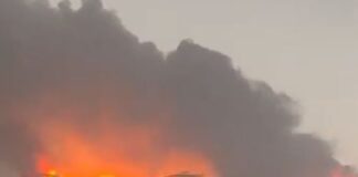 बहादुरगढ़ में लगी भीषण आग ने फैक्ट्री के अंदर रखा लाखों रुपए का कच्चा और तैयार माल जलकर पूरी तरह से राख हो गया है।