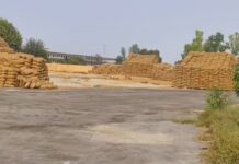 धान घोटाले की पुलिस पूछताछ में राइस मिलर संदीप सिंगला ने बड़े खुलासे किए हैं। आरोपी ने कई अधिकारियों और कर्मचारियों के नाम लिए हैं।