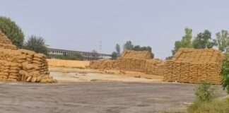 धान घोटाले की पुलिस पूछताछ में राइस मिलर संदीप सिंगला ने बड़े खुलासे किए हैं। आरोपी ने कई अधिकारियों और कर्मचारियों के नाम लिए हैं।