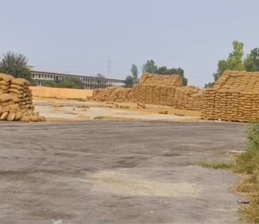 धान घोटाले की पुलिस पूछताछ में राइस मिलर संदीप सिंगला ने बड़े खुलासे किए हैं। आरोपी ने कई अधिकारियों और कर्मचारियों के नाम लिए हैं।