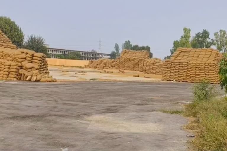 धान घोटाले की पुलिस पूछताछ में राइस मिलर संदीप सिंगला ने बड़े खुलासे किए हैं। आरोपी ने कई अधिकारियों और कर्मचारियों के नाम लिए हैं। धान घोटाले की पुलिस पूछताछ में राइस मिलर संदीप सिंगला ने बड़े खुलासे किए हैं। आरोपी ने कई अधिकारियों और कर्मचारियों के नाम लिए हैं।