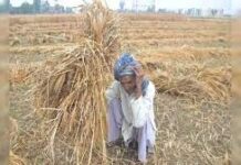 बिहार के किसानों के खाते में आएगा पैसा, फसल को हुआ नुकसान तो आज ही इस योजना में करें अप्लाई बिहार सरकार ने अक्टूबर की बारिश और मोन्था तूफान से प्रभावित किसानों के लिए कृषि इनपुट अनुदान-2025 के तहत मदद का आवेदन शुरू किया है।