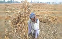 बिहार सरकार ने अक्टूबर की बारिश और मोन्था तूफान से प्रभावित किसानों के लिए कृषि इनपुट अनुदान-2025 के तहत मदद का आवेदन शुरू किया है।