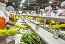 हिसार TTC में फूड प्रोसेसिंग लैब तैयार: ट्रेनिंग लेकर महिलाएं खोल सकेंगी सूक्ष्म उद्योग, ये 17 मशीनें स्थापित ट्रेनिंग हेड श्वेताभ सिंह ने बताया कि सोमवार को ढंढूर क्षेत्र से आईं 120 महिलाओं ने प्रशिक्षण शुरू किया है।