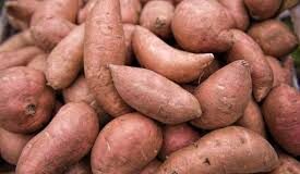 अगर आप सर्दियों में अपना वजन तेजी से कम करने का प्लान बना रहे हैं तो शकरकंद को जरूरी अपनी डाइट का हिस्सा बनाएं।