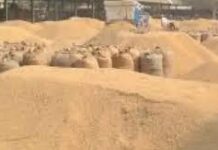 सीआईए-वन की टीम संदीप सिंगला को बैंक में भी लेकर गई और उसके बैंक खातों के बारे में जानकारी ली गई।