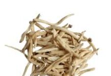 दूध के सफेद मूसली लेने से क्या होता है? Dr. ने बताई जड़ी बूटी की ताकत, मर्दाना ताकत बढ़ाने का देसी तरीका सफेद मूसली एक प्रसिद्ध आयुर्वेदिक जड़ी-बूटी है, जो पुरुषों की यौन कमजोरी, वजन बढ़ाने और इम्यूनिटी मजबूत करने में बेहद फायदेमंद मानी जाती है।