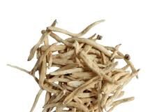 सफेद मूसली एक प्रसिद्ध आयुर्वेदिक जड़ी-बूटी है, जो पुरुषों की यौन कमजोरी, वजन बढ़ाने और इम्यूनिटी मजबूत करने में बेहद फायदेमंद मानी जाती है।