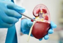 5 ‘साइलेंट जहर’ के दम पर पैदा होता है कैंसर, जड़ों में ताकत पहुंचाकर धीरे-धीरे बनाते हैं भयंकर कैंसर का खतरा कम करना है तो सबसे पहले अपनी डाइट पर लगाम लगाएं। क्योंकि कुछ चीजों का सेवन शरीर में इस खतरनाक बीमारी का जोखिम बढ़ाता है।