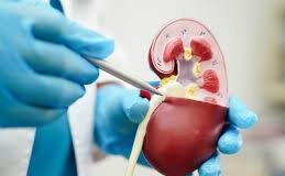 कैंसर का खतरा कम करना है तो सबसे पहले अपनी डाइट पर लगाम लगाएं। क्योंकि कुछ चीजों का सेवन शरीर में इस खतरनाक बीमारी का जोखिम बढ़ाता है।