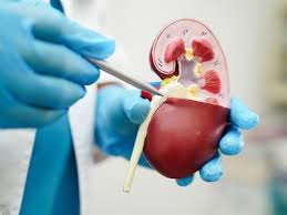 कैंसर का खतरा कम करना है तो सबसे पहले अपनी डाइट पर लगाम लगाएं। क्योंकि कुछ चीजों का सेवन शरीर में इस खतरनाक बीमारी का जोखिम बढ़ाता है। कैंसर का खतरा कम करना है तो सबसे पहले अपनी डाइट पर लगाम लगाएं। क्योंकि कुछ चीजों का सेवन शरीर में इस खतरनाक बीमारी का जोखिम बढ़ाता है।