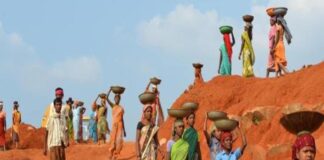 मनरेगा के तहत आजीविका कमाने ग्रामीण मजदूरों को जी राम जी एक्ट के अंतर्गत नया जॉब कार्ड बनवाना होगा।