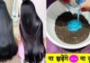 ‘2-3 महीनों में दो गुनी तेजी से बढ़ेंगे बाल!’ बस चायपत्ती में मिलाओ शैंपू, हेल्थ कोच का देसी नुस्खा बड़ा असरदार बालों को काला, घना और मजबूत बनाने के लिए आप क्या करते हैं? अगर आप बस शैंपू बदलकर ये सोचते हैं कि बालों को मजबूती मिलेगी, तो ऐसा नहीं होने वाला है।