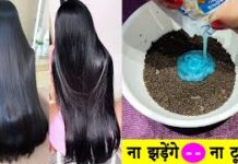 ‘2-3 महीनों में दो गुनी तेजी से बढ़ेंगे बाल!’ बस चायपत्ती में मिलाओ शैंपू, हेल्थ कोच का देसी नुस्खा बड़ा असरदार बालों को काला, घना और मजबूत बनाने के लिए आप क्या करते हैं? अगर आप बस शैंपू बदलकर ये सोचते हैं कि बालों को मजबूती मिलेगी, तो ऐसा नहीं होने वाला है।
