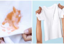 जिद्दी गंदे दागों वाली स्वेटर को चमका देगी 2 चीजें, घंटों की मेहनत से मिलेगा छुटकारा, 6 टिप्स को करें फॉलो सर्दियों की शुरुआत के साथ ही कपड़ों को धोने में परेशानी शुरू हो जाती है। खासतौर से मोटी-मोटी स्वेटर धोने में बहुत मेहनत लगती है।