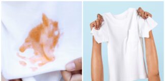 सर्दियों की शुरुआत के साथ ही कपड़ों को धोने में परेशानी शुरू हो जाती है। खासतौर से मोटी-मोटी स्वेटर धोने में बहुत मेहनत लगती है।