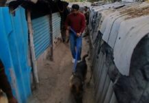 ऑपरेशन हॉटस्पॉट डोमिनेशन: 1.8 करोड़ रुपये जब्त, 2899 गिरफ्तार, सीएम सैनी हुए पुलिस के फैन, खूब की तारीफ हरियाणा पुलिस का ऑपरेशन हॉटस्पॉट डोमिनेशन एक सप्ताह के लिए बढ़ा दिया गया है।