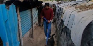 हरियाणा पुलिस का ऑपरेशन हॉटस्पॉट डोमिनेशन एक सप्ताह के लिए बढ़ा दिया गया है।