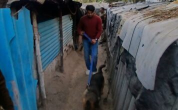 ऑपरेशन हॉटस्पॉट डोमिनेशन: 1.8 करोड़ रुपये जब्त, 2899 गिरफ्तार, सीएम सैनी हुए पुलिस के फैन, खूब की तारीफ हरियाणा पुलिस का ऑपरेशन हॉटस्पॉट डोमिनेशन एक सप्ताह के लिए बढ़ा दिया गया है।