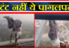 हिसार के जिंदल टावर पर चढ़कर एक युवक के जान जोखिम में डालकर स्टंट करने का मामला सामने आया है।