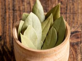 गेहूं के आटे को कीड़ों से बचाना एक चुनौती की तरह होता है।