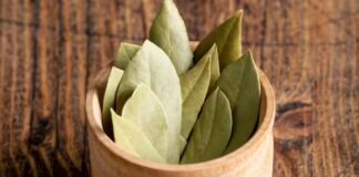 गेहूं के आटे को कीड़ों से बचाना एक चुनौती की तरह होता है।