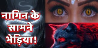 नागिन 7' शुरू होने के बाद से ही खूब चर्चे में है। प्रियंका चाहर चौधरी के शो में कई सारे एक्टर्स हैं और अब इसमें विवियन डीसेना के आने की बात भी हो रही है।