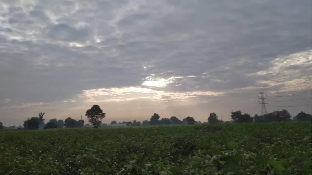 नया पश्चिमी विक्षोभ पश्चिमी पाकिस्तान पर मौजूद है, जो शनिवार रात तक देश के उत्तरी पर्वतीय क्षेत्रों पर सक्रिय हो जाएगा।