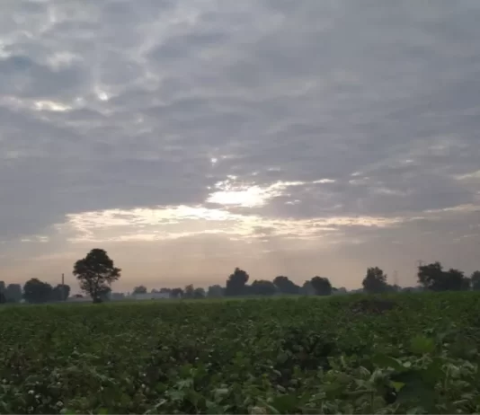 नया पश्चिमी विक्षोभ पश्चिमी पाकिस्तान पर मौजूद है, जो शनिवार रात तक देश के उत्तरी पर्वतीय क्षेत्रों पर सक्रिय हो जाएगा।