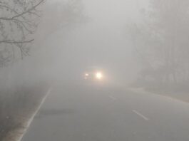 हरियाणा राज्य में मौसम आमतौर पर 4 फरवरी तक परिवर्तनशील रहने की संभावना है।