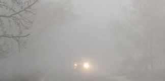 हरियाणा राज्य में मौसम आमतौर पर 4 फरवरी तक परिवर्तनशील रहने की संभावना है।