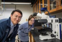 दुन‍िया के सबसे छोटे ऑटोनॉमस रोबोट को तैयार किया गया है। एक र‍िसर्च के तहत इन्‍हें बनाया गया है।