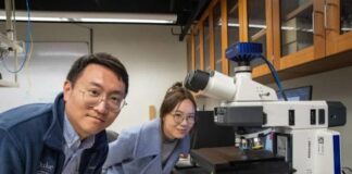 दुन‍िया के सबसे छोटे ऑटोनॉमस रोबोट को तैयार किया गया है। एक र‍िसर्च के तहत इन्‍हें बनाया गया है।