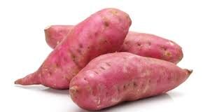 यह लेख केवल सामान्य जानकारी के लिए है। यह किसी भी तरह से किसी दवा या इलाज का विकल्प नहीं हो सकता