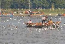 एडब्ल्यूसी के दिल्ली स्टेट कोऑर्डिनेटर टी. के. रॉय ने कहा कि जनवरी में भी स्थिति में खास बदलाव की उम्मीद नहीं है।