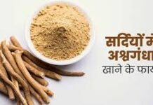 उन्होंने सलाह दी कि ठंड में पाचन दुरुस्त रखने के लिए गर्म हर्बल चाय और अदरक के काढ़े का सेवन करें।