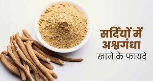 उन्होंने सलाह दी कि ठंड में पाचन दुरुस्त रखने के लिए गर्म हर्बल चाय और अदरक के काढ़े का सेवन करें।