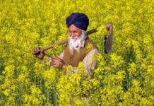 बिहार सरकार राज्य के 71 लाख किसानों को एक खास मौका दे रही है। 6 से 9 जनवरी तक फार्मर आईडी के लिए प्रदेश में विशेष कैंप लगाए जा रहे हैं।